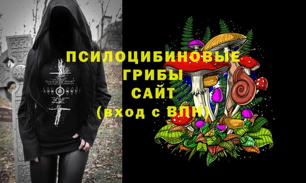 ECSTASY Кодинск
