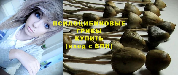 ECSTASY Кодинск